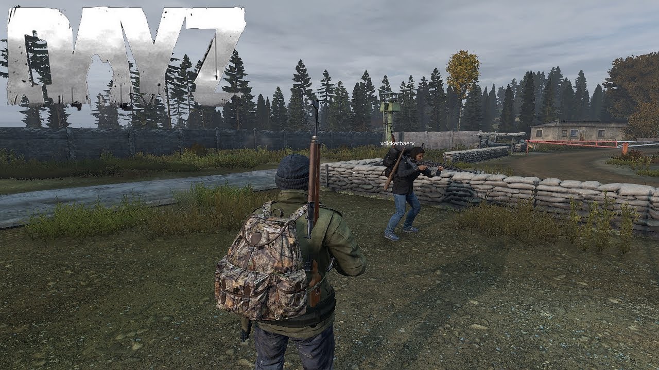 Хостинг DayZ: Аренда сервера DayZ с защитой от DDoS